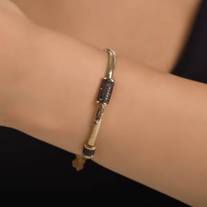 TSBL 2030 is 9.14 g Gold Bracelet